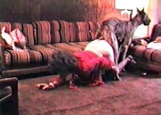 Animals porno homemade cjeli film